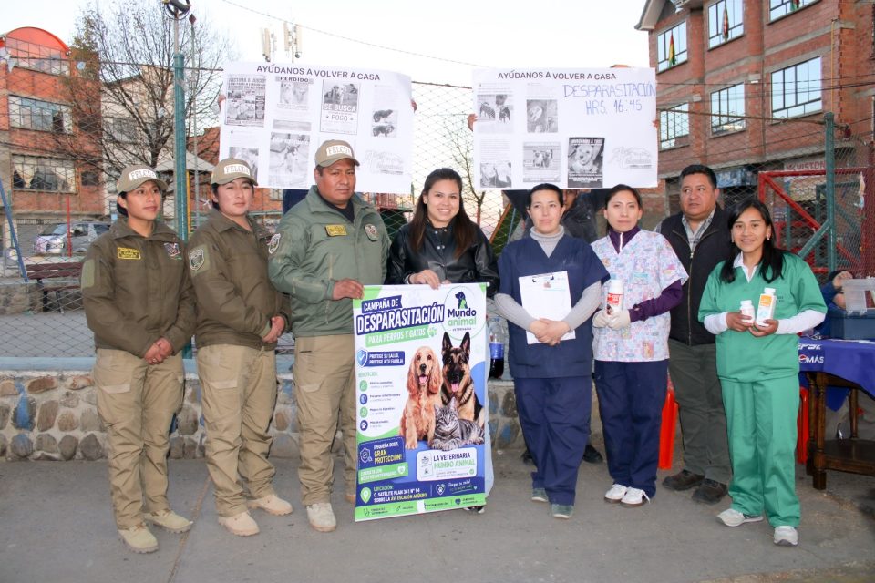 Diputados impulsan campaña solidaria para mascotas en situación de calle en La Paz